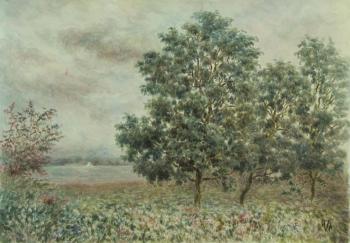 �������� ����. �������� �����