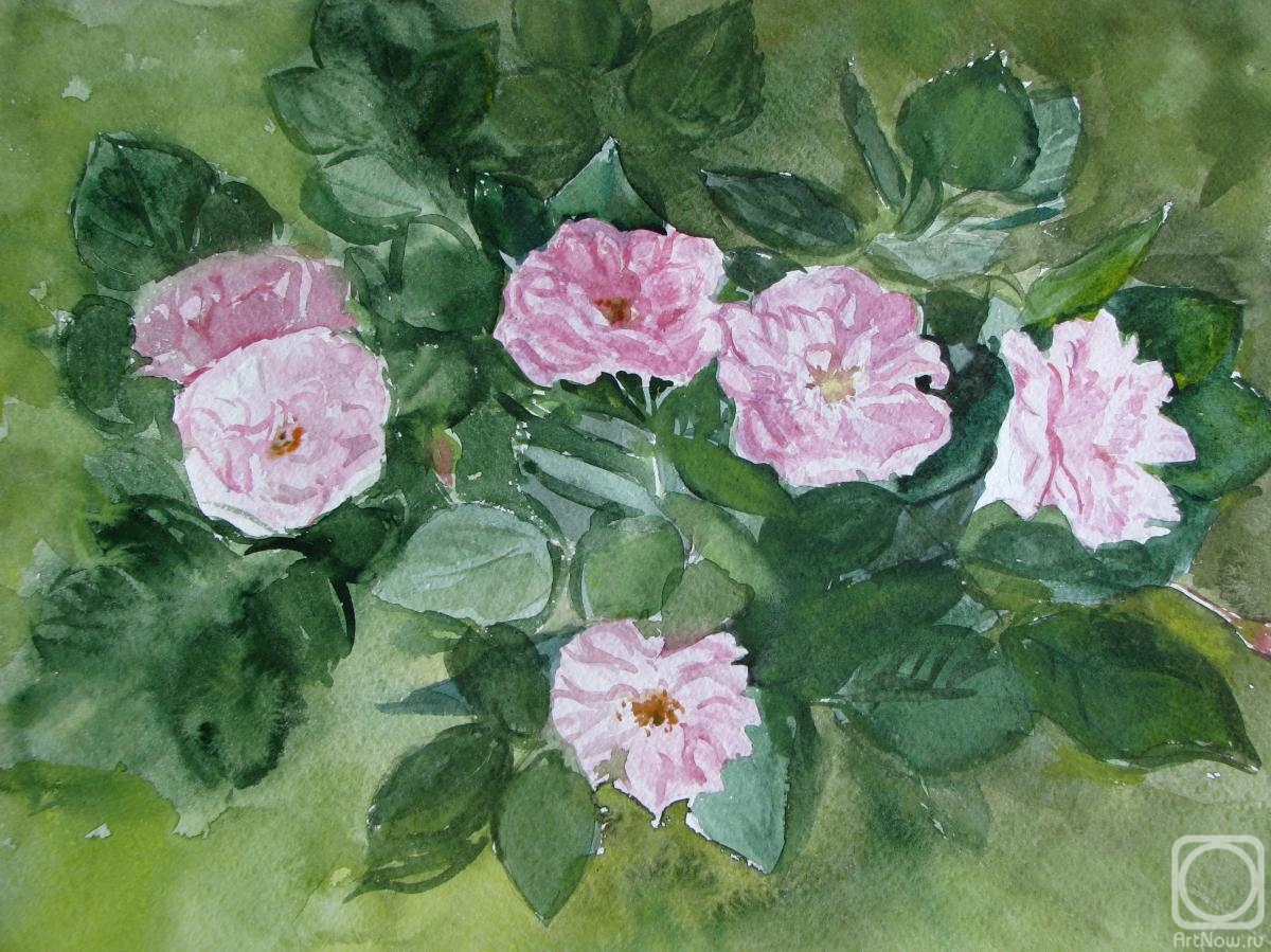 �������. ������ �������. ��������