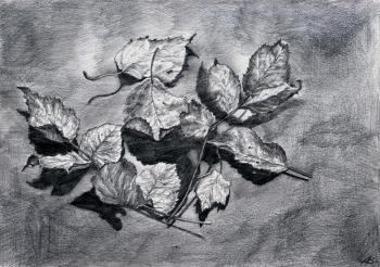 The Dry Leaves (Graphic Art). Abaimov Vladimir