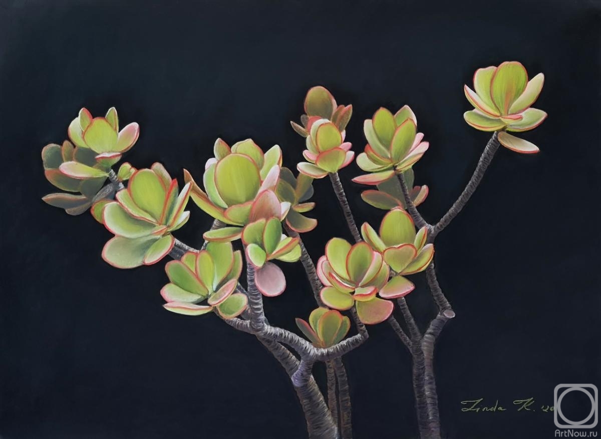 �������. ������� �����. �������� ������