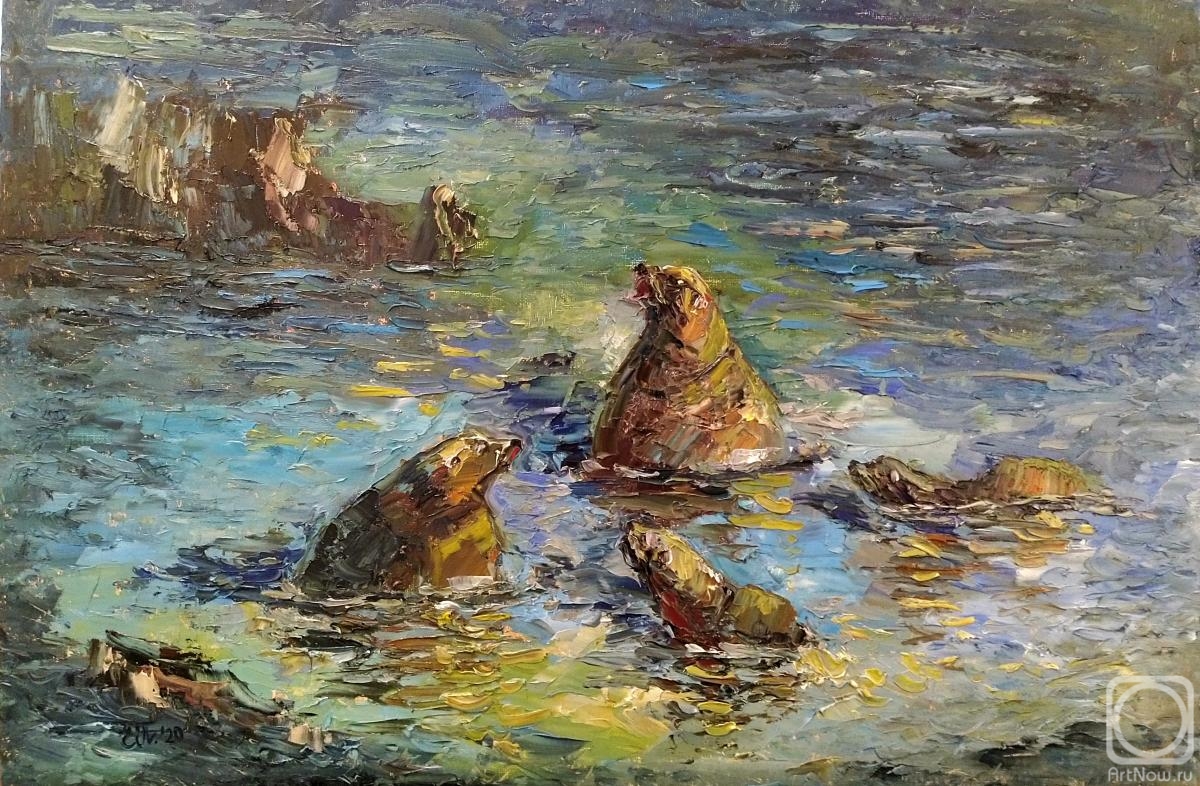 Polyudova Evgeniya. Sea lions