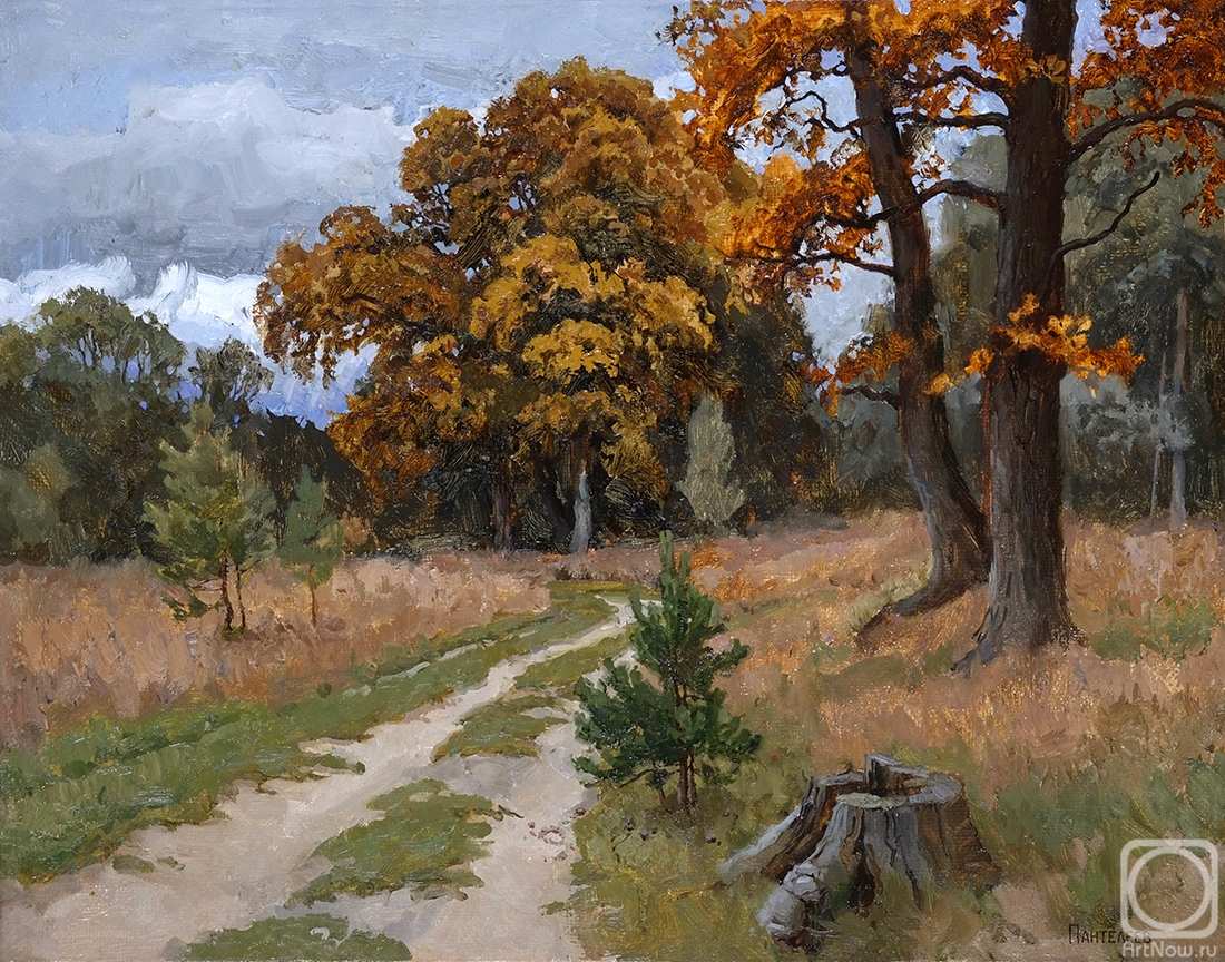 ������� ������ �� ������. ��������� ������. ������� �����