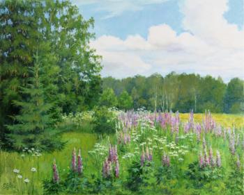 Lupines near the field