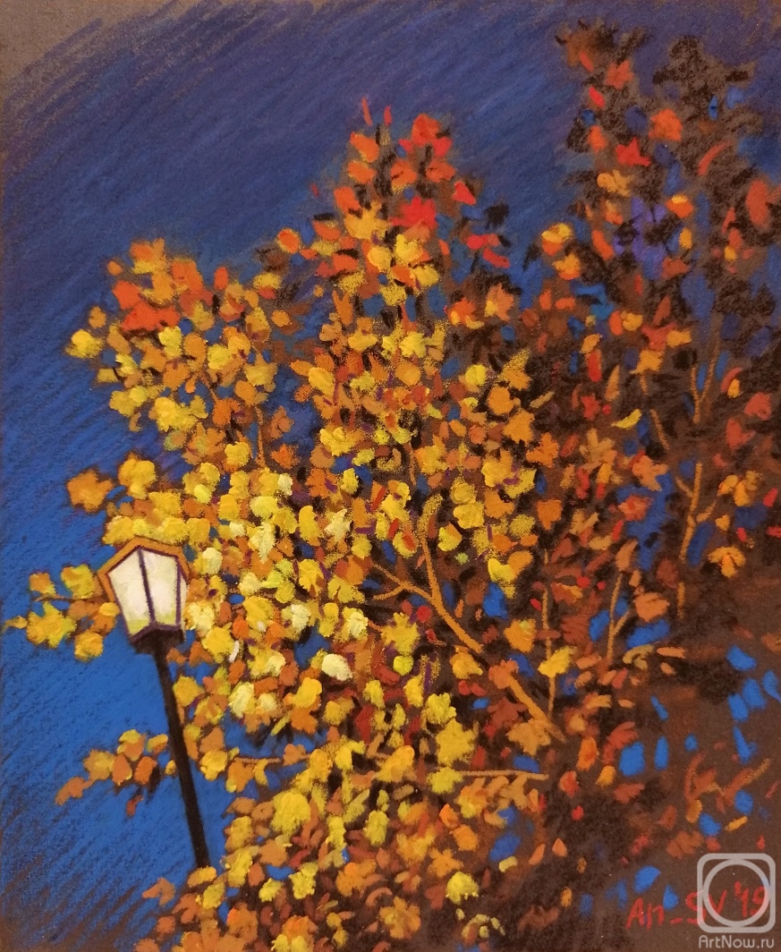 Svyatchenkov Anton. Color of night
