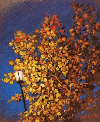 Color of night. Svyatchenkov Anton