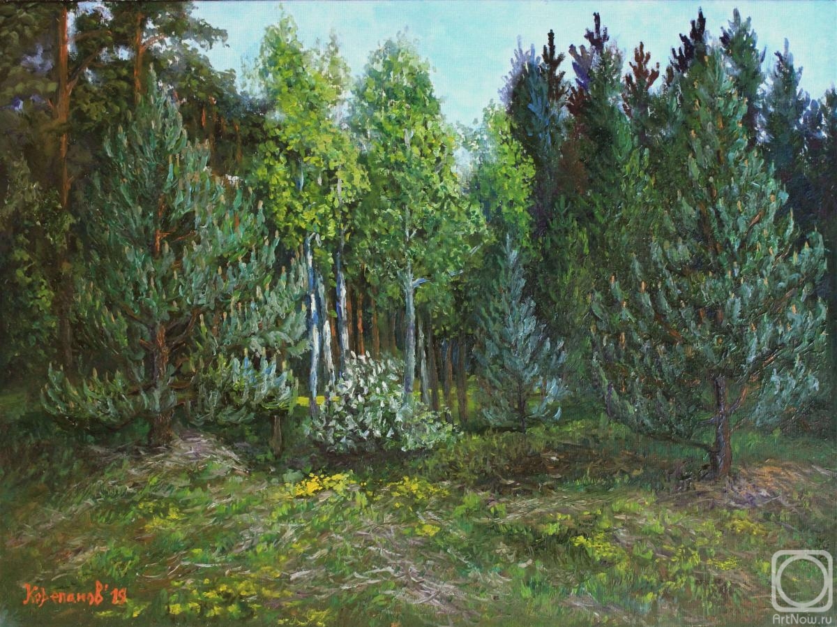 Korepanov Alexander. Obukhovsky forest. May (etude)