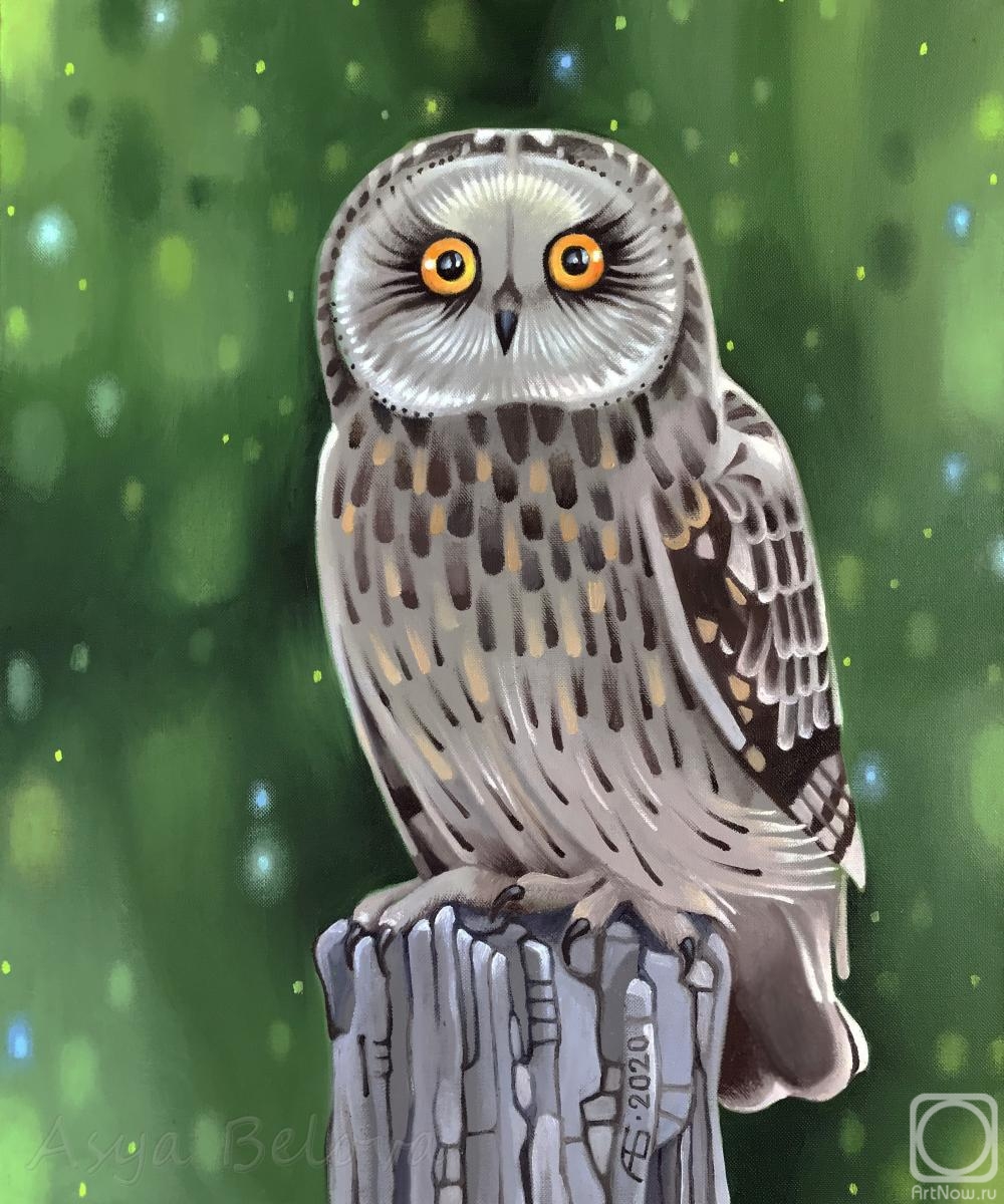 Belova Asya. Owl