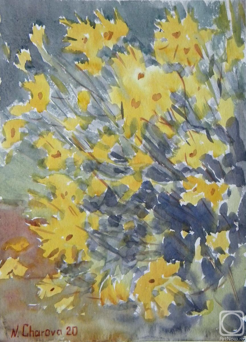 �������. ������ ������. �������� ���� � ������