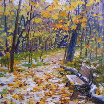 The first snow is falling in the old park. Rodionov Igor