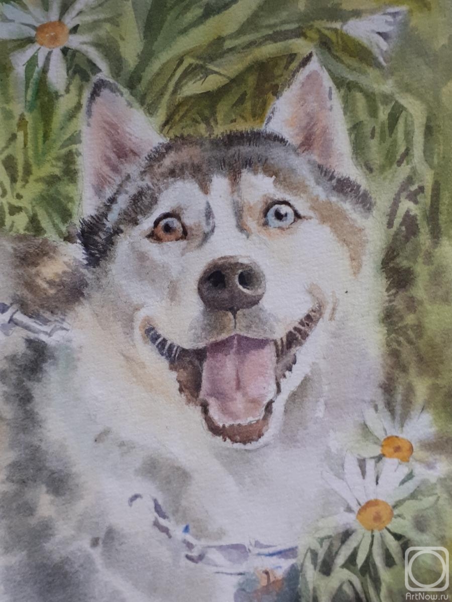 �������. ��������� �������. ��� �����������