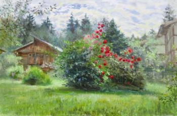 Landscape with roses