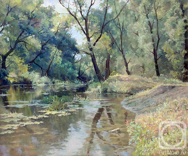 Dobrodeev Vadim. River backwater