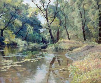 River backwater. Dobrodeev Vadim