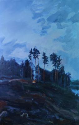 The fire in the twilight. Makarenko Anastasiya