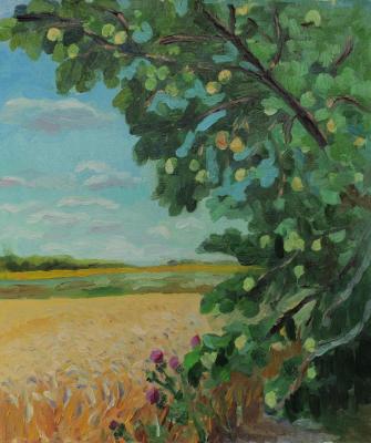 Apple tree in the field