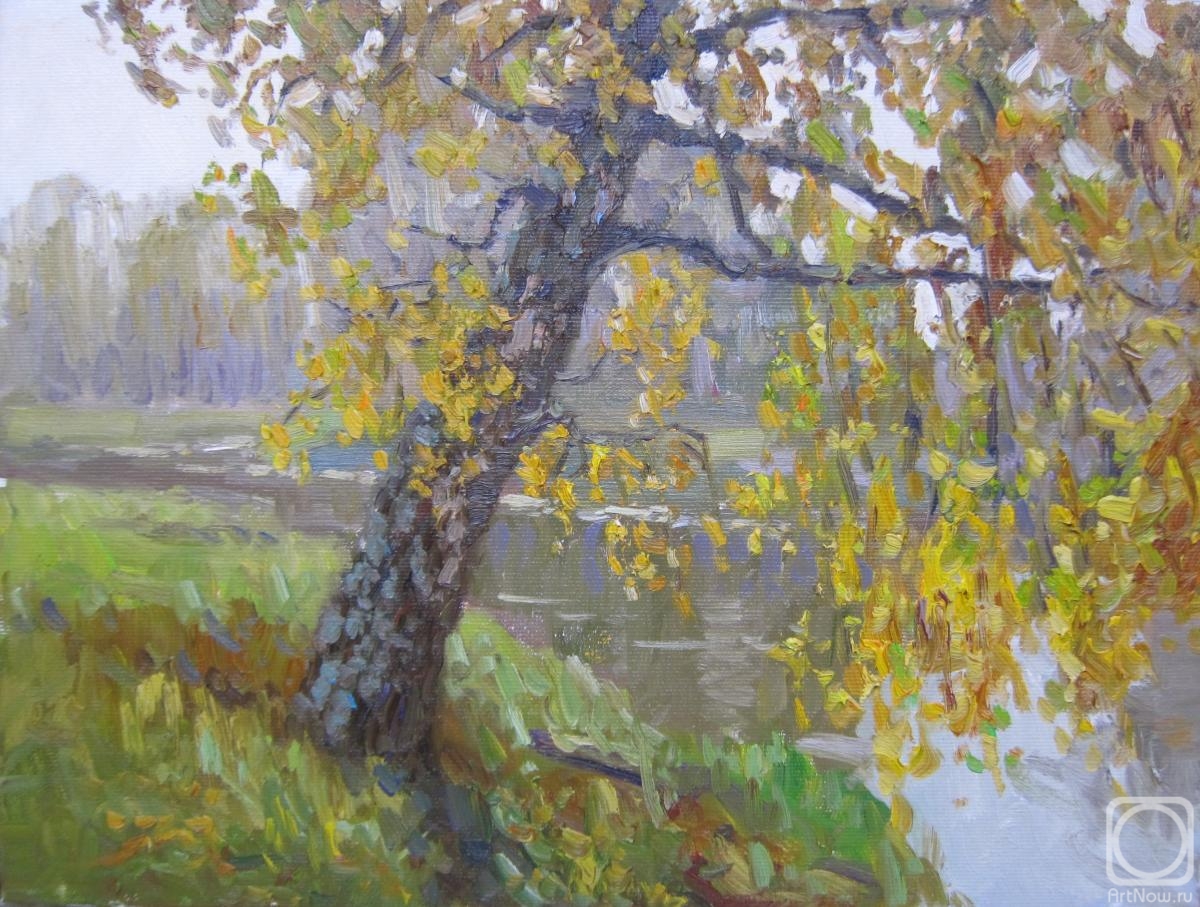Chertov Sergey. Autumn birch on the Bank of the Klyazma river