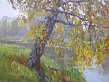 Autumn birch on the Bank of the Klyazma river