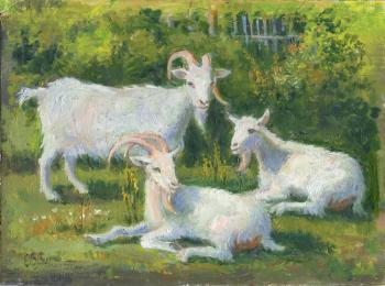 Goats (etude). Shumakova Elena