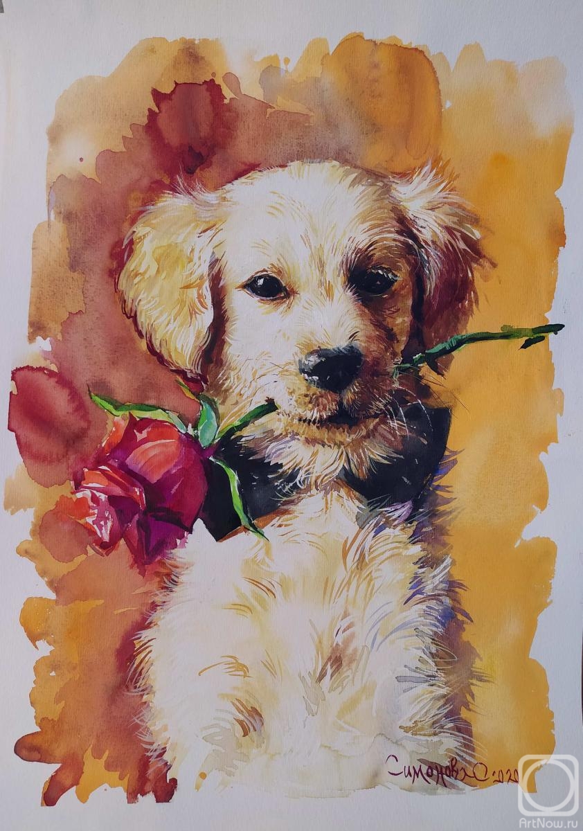 Simonova Olga. Labrador puppy and rose