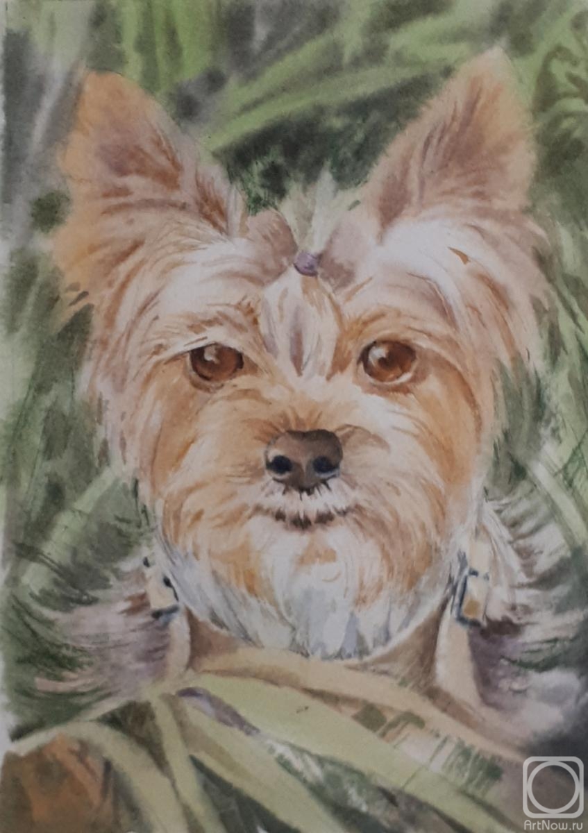 �������. ��������� �������. �������