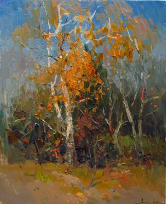 Autumn birches. Makarov Vitaly