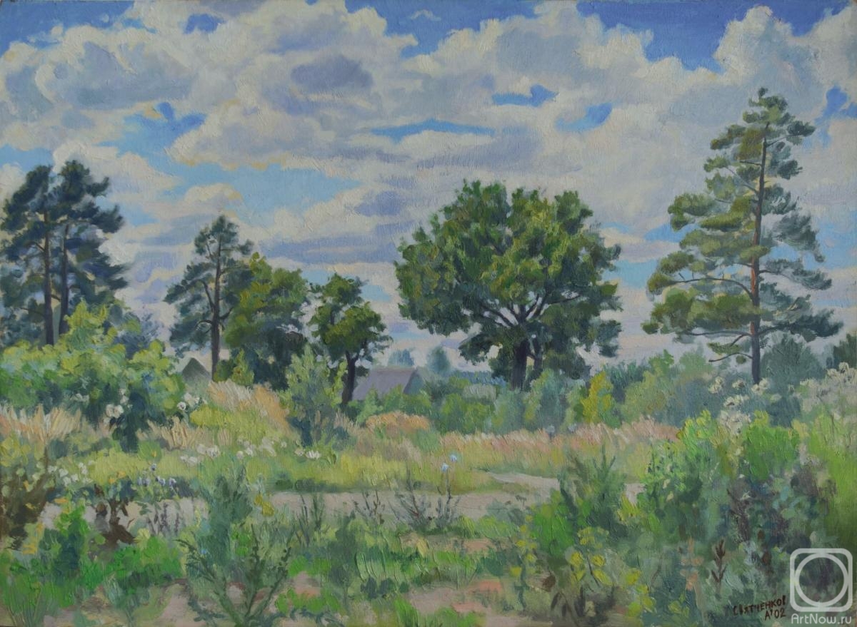 Svyatchenkov Anton. Outer wood