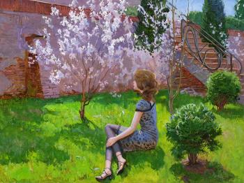 Apricot orchard. Panteleev Sergey