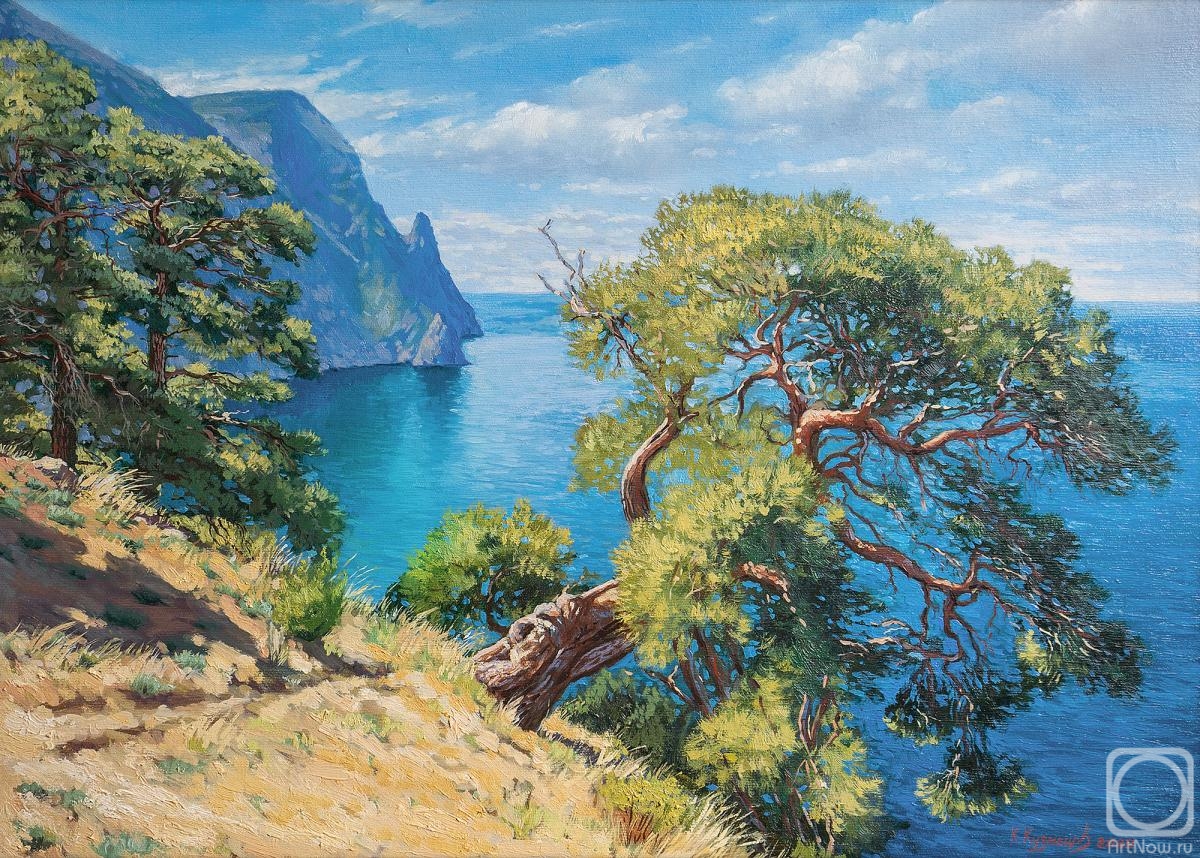 Kuznetsov Konstantin. View of Cape Aya