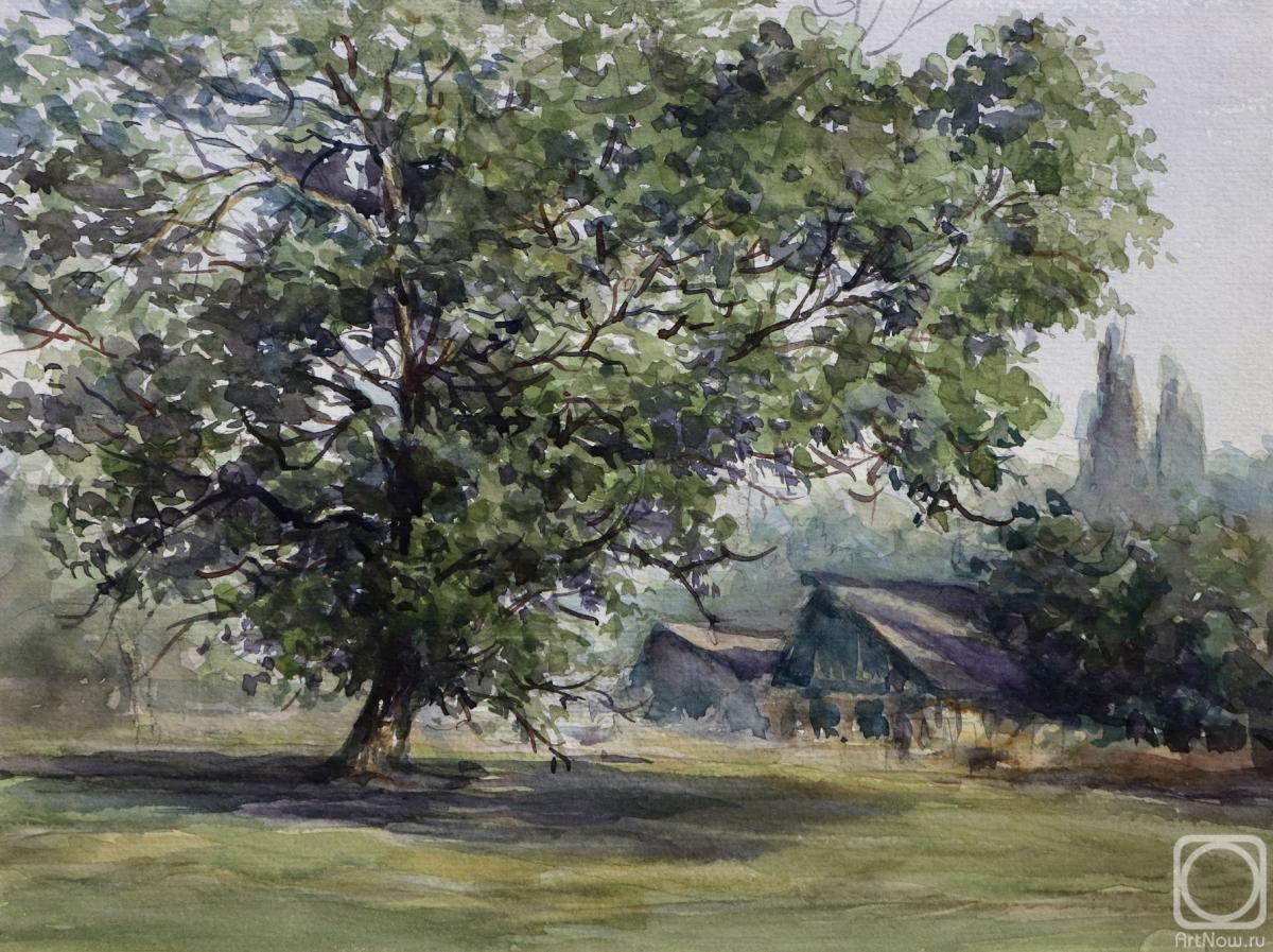 �������. ��������� �������. ����