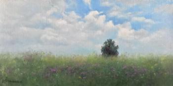 Partly cloudy weather. July (Summer Creation). Trubanov Vitaly