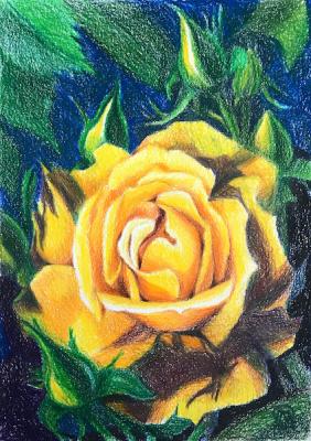 Yellow Rose. Lukaneva Larissa