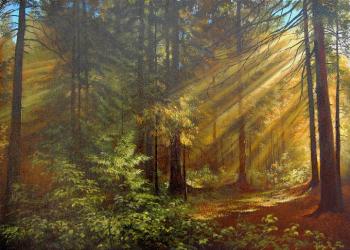 ������� �54 ��� �����...�