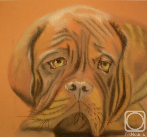 �������. �������� ������. �����