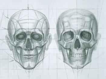 Skull Scheme. Yudaev-Racei Yuri