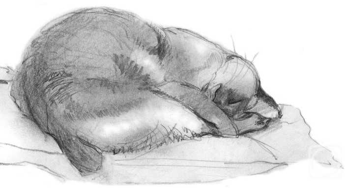 �������. ������� �������. ������� ���� � ������ ����