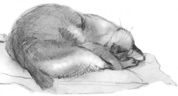 ������� �������� ���� � ������ ����