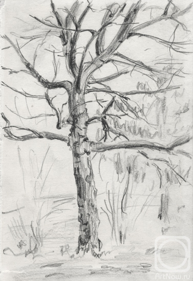 �������. ������� ����. ������