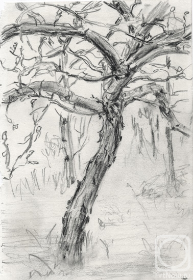 �������. ������� ����. ������