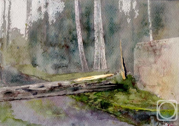 Romanov Egor. Birch tree toppled by a hurricane