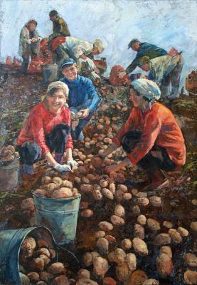 Potato (Children People). Savinova Roza