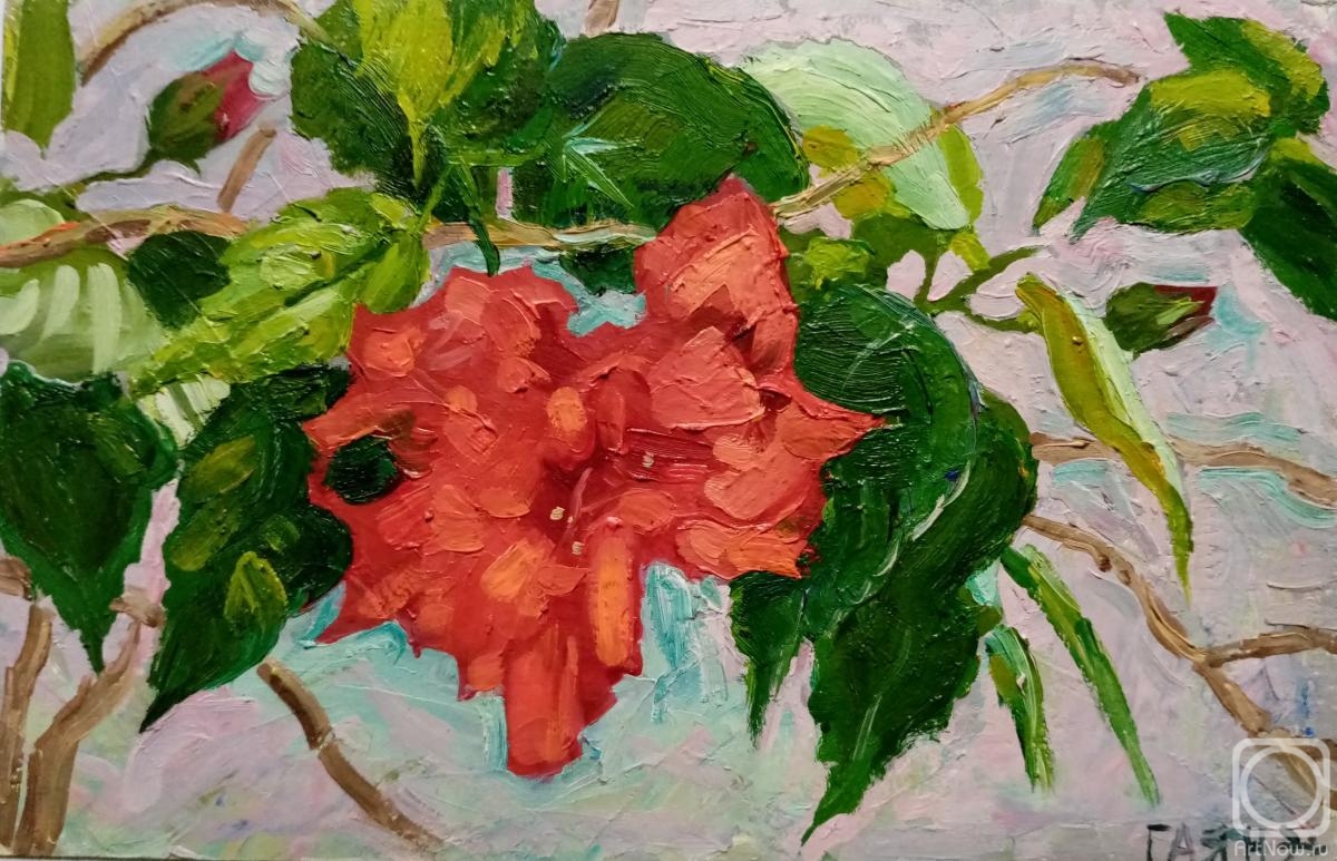 �������. ������������� �����. ��������, ������ ������