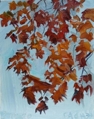 Red maple leaves (). Dobrovolskaya Gayane