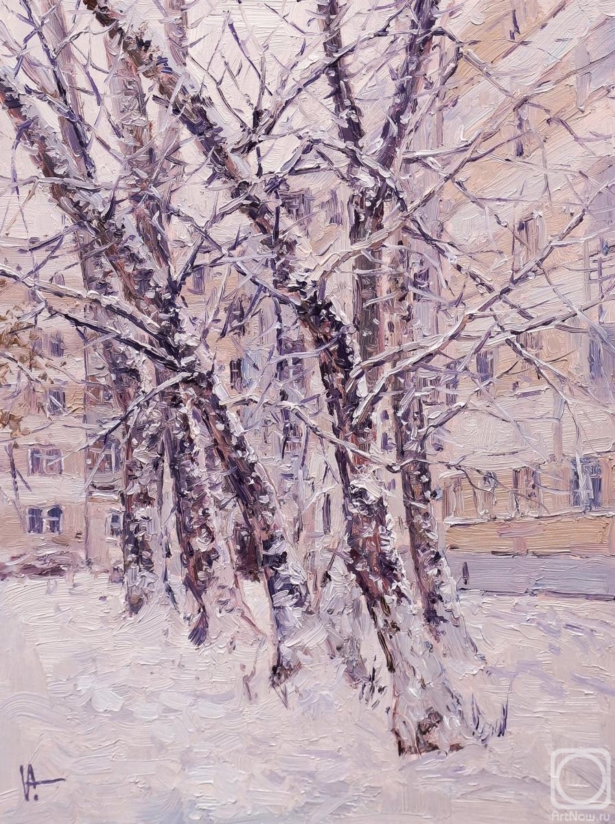 Volya Alexander. Snow covered trees in the city