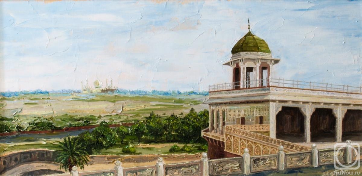 Shubin Artyom. View of the Taj Mahal from Agra Fort