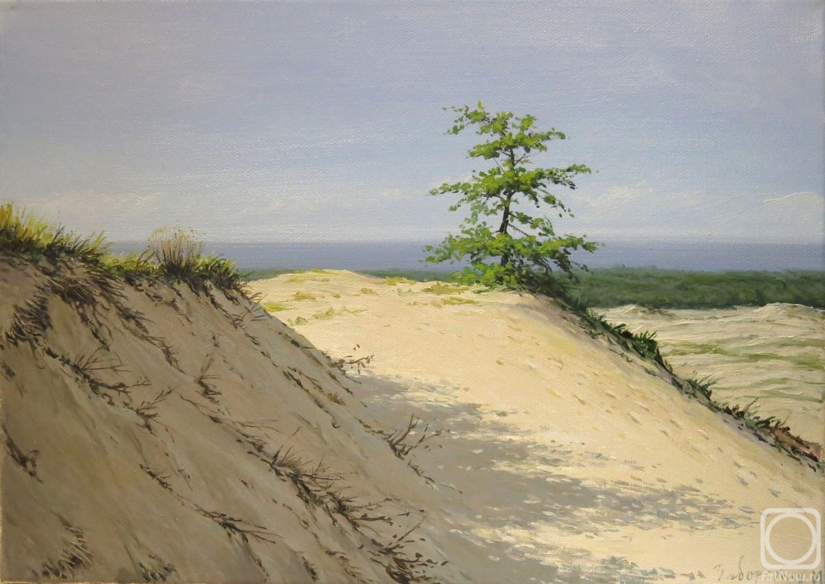 Zaborskih Igor. Landscape, summer landscape, dunes, sea View, Curonian spit