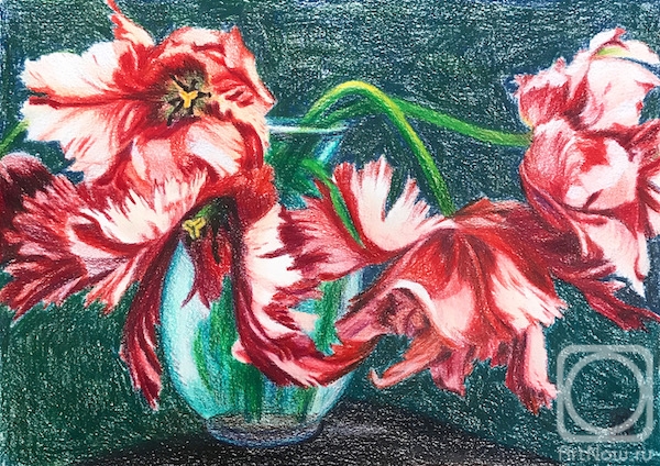 Lukaneva Larissa. Double-flowered Tulips