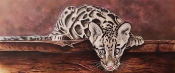 Clouded leopard. Litvinov Andrew