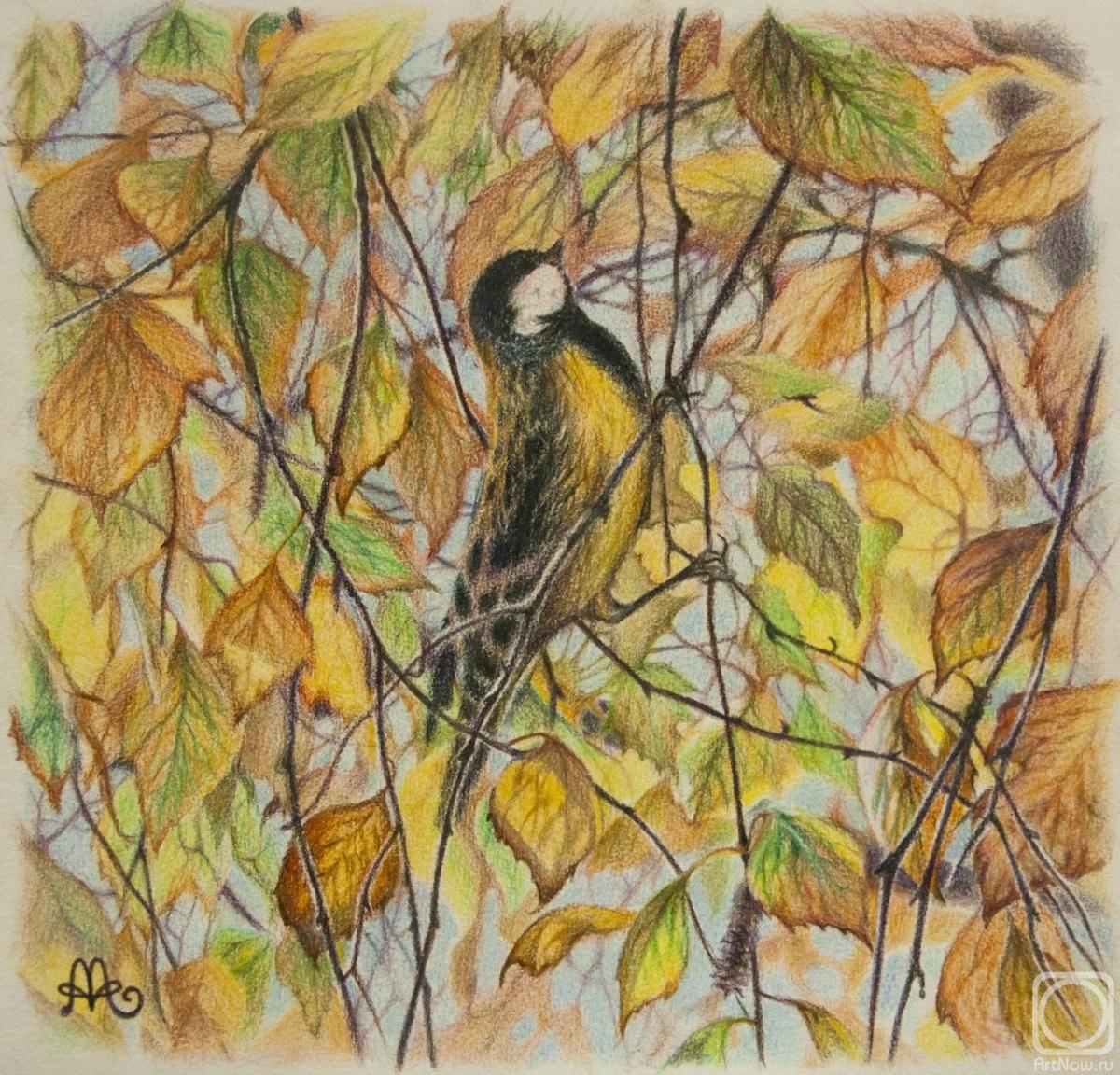 �������. �������� ����. ������ �������