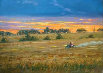 On the evening field with a breeze. Dyomin Pavel