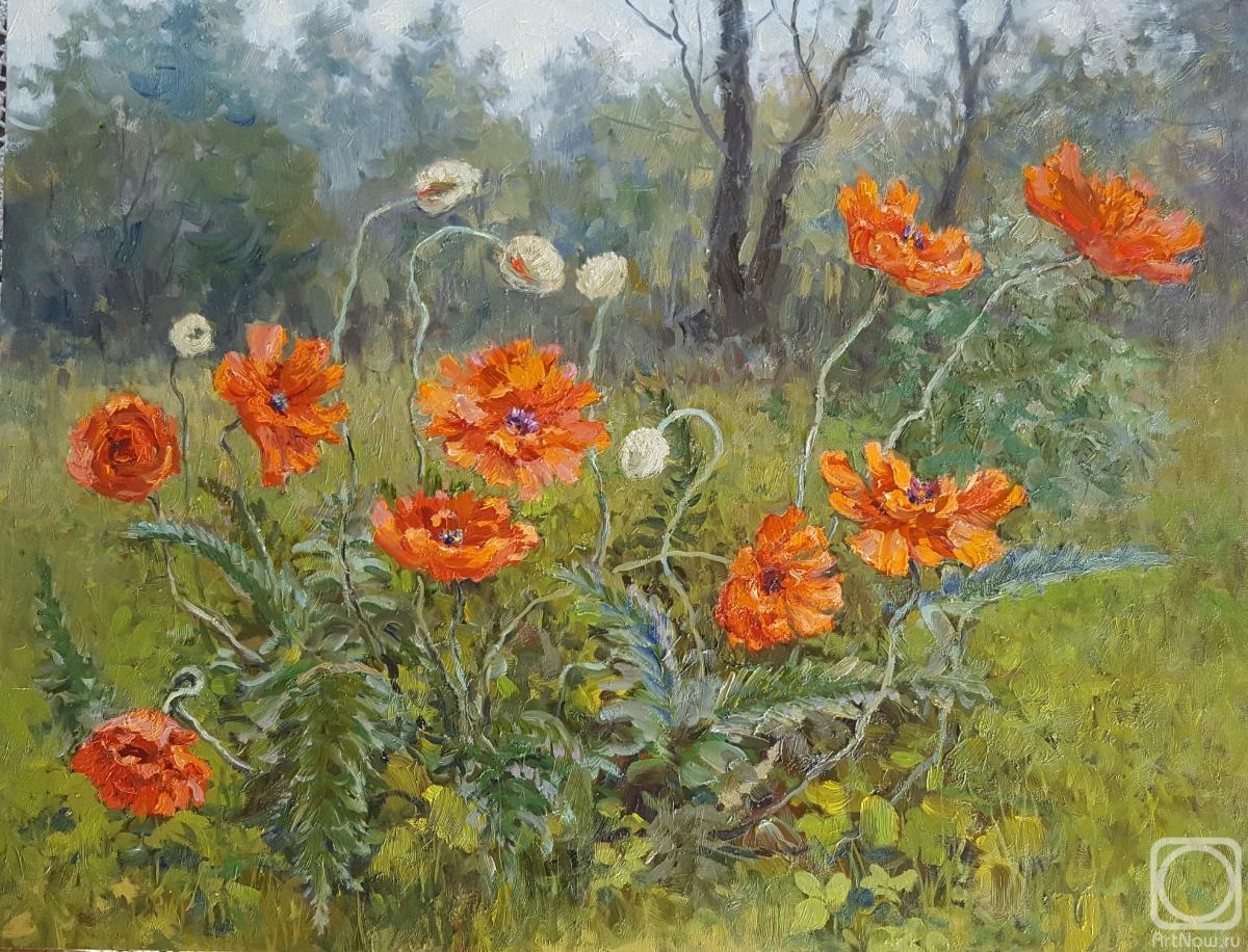 �������. �������� ��������. ������� ����